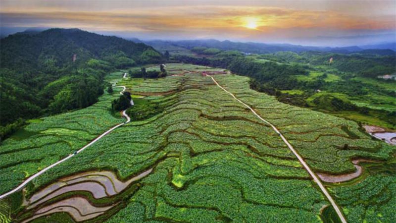 科技助力，農(nóng)旅結(jié)合 紅色老區(qū)建寧“綠色崛起”