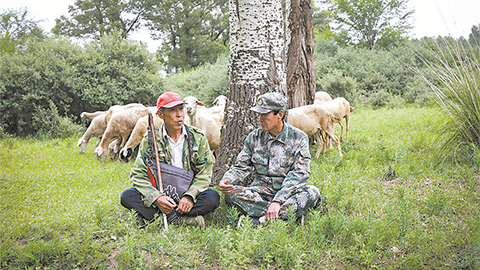 高清大圖｜塞北荒山，老兵播種“綠色夢”