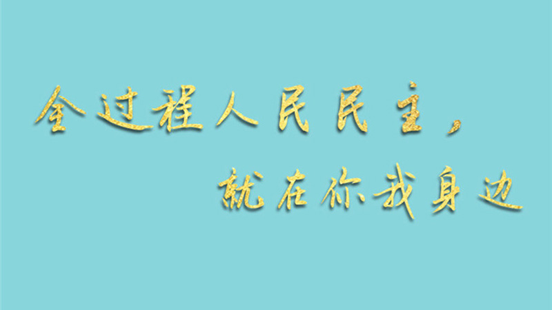 兩會手繪長卷：全過程人民民主，就在你我身邊